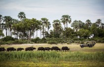 This African Safari Was Founded Before Ecotourism Became a Trend