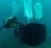 One of the popular underwater wineries, Crusoe Treasure Winery lowering bottles into the sea