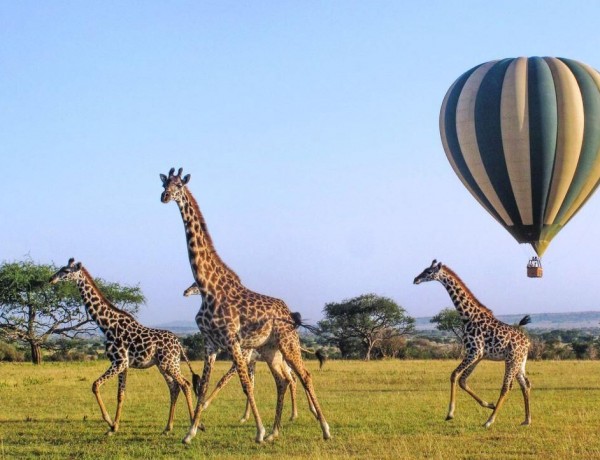 Hot-Air-Ballooning-at-the-mara