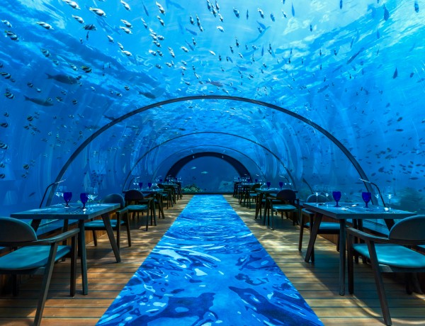 Hurawalhi-Island-Resort-undersea-restaurant