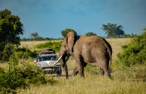 Kalmar Beyond Adventure wants You to Experience South Africa In a Porsche