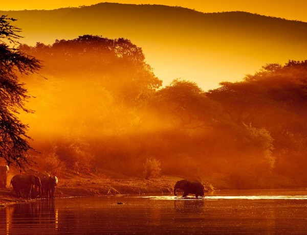 lower-zambezi-national-park